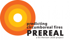 prereal_logo
